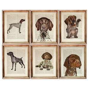 Set of 6 Prints German Shorthaired Pointer Dictionary Art Print, GSP Wall Art, Set of Dogs Art Print, Dog Dictionary Book