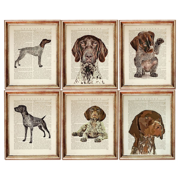 Set di 6 stampe Stampa artistica del dizionario del puntatore a pelo corto tedesco, arte della parete GSP, stampa artistica di set di cani, libro del dizionario dei cani