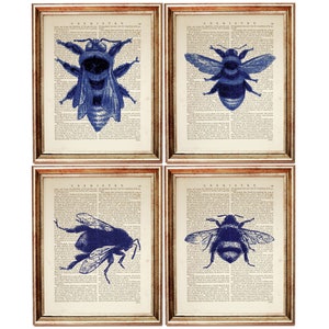 Lot de 4 tirages, tirages d&#39;art dictionnaire bleu cobalt abeille, décoration murale insecte, page de livre ancien nature, oeuvre d&#39;art bourdon
