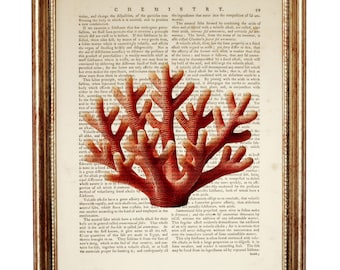 Coral Print on Antique Book Page, Natical Vintage Wall Art