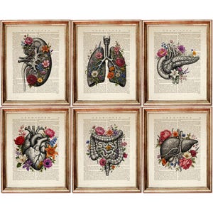 Peut inclure: Six cadres de style vintage présentant des illustrations anatomiques d'organes humains, tels que le rein, les poumons et le cœur, ornés de compositions florales colorées. Les impressions sont posées sur un fond de pages de livres vieillies.
