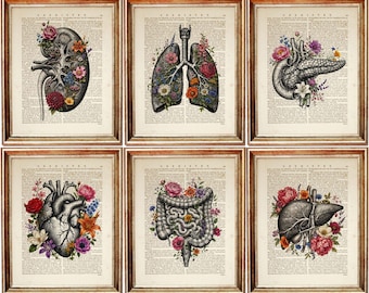 Juego de 6 láminas de arte de diccionario de anatomía, láminas de arte médico vintage de órganos humanos florales, juego de arte de pared, corazón, pulmones, páncreas, intestinos, pulmones