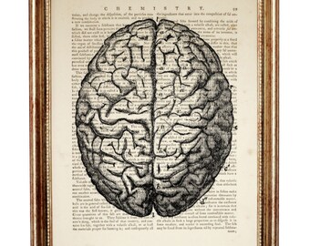 May include: A vintage anatomical illustration of the human brain, printed on a page from an old book. The image is in black and white and shows the brain in detail, with all of its folds and convolutions.