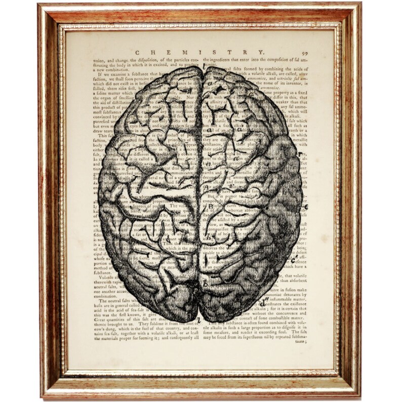 Human Brain Print, Antique Anatomy Art, Medical Science Wall Decor - Etsy