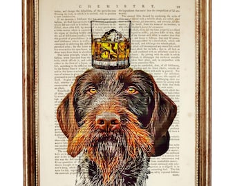 May include: A brown and black German Shorthaired Pointer dog with a glass of whiskey on its head. The dog is looking directly at the viewer. The background is a vintage book page with text.