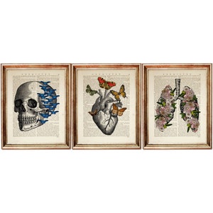 Set of 3 Art Prints, Anatomical Heart with Butterfly, Human Anatomy Poster, Lungs with Flower, Medical Dictionary Art Print