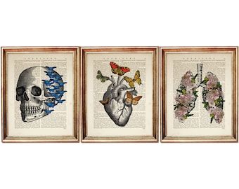 Anatomical Heart Lungs Skull Print Set, Butterfly Floral Dictionary Art