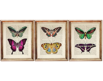 Set of 3 Prints, Butterfly Print Wall Art, Butterflies Dictionary Art Print, Butterfly Nursery Decor, Butterfly Wall Art