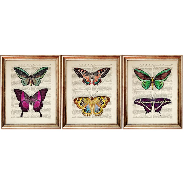 Set of 3 Prints, Butterfly Print Wall Art, Butterflies Dictionary Art Print, Butterfly Nursery Decor, Butterfly Wall Art