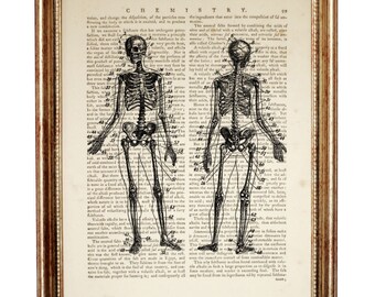 Skeleton Couple Dictionary Art Print, Anatomy Poister, Vintage Decor