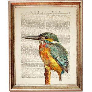 Puede incluir: Una l&aacute;mina de arte enmarcada con la ilustraci&oacute;n de un mart&iacute;n pescador de plumaje azul, verde y naranja, superpuesta sobre una p&aacute;gina de un libro de qu&iacute;mica antiguo. El ave aparece posada sobre una rama frente al texto impreso.