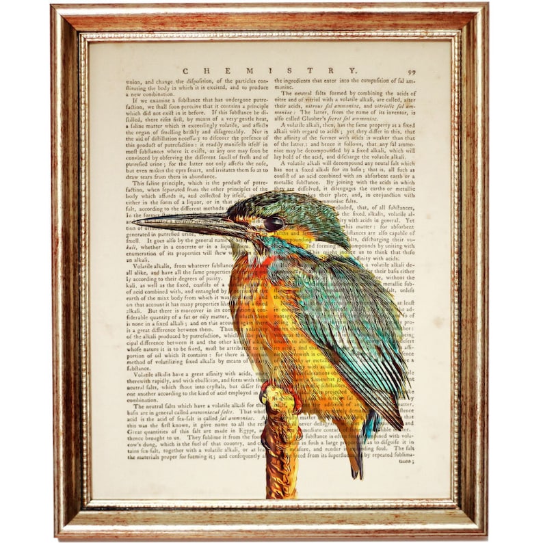 Puede incluir: Una l&aacute;mina de arte enmarcada con la ilustraci&oacute;n de un mart&iacute;n pescador de plumaje azul, verde y naranja, superpuesta sobre una p&aacute;gina de un libro de qu&iacute;mica antiguo. El ave aparece posada sobre una rama frente al texto impreso.
