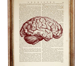 May include: A framed wall art piece featuring a dark red anatomical illustration of a human brain centered over a vintage dictionary page with the word CHEMISTRY and page number 99 printed at the top in black ink on aged off-white paper.