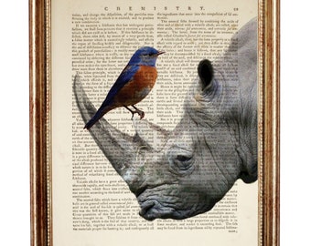 Rhinoceros Poster, Rhino Dictionary Art Print, Rhinoceros with Bird Art Print, Rhino Wall Decor, Safari Animal Portrait