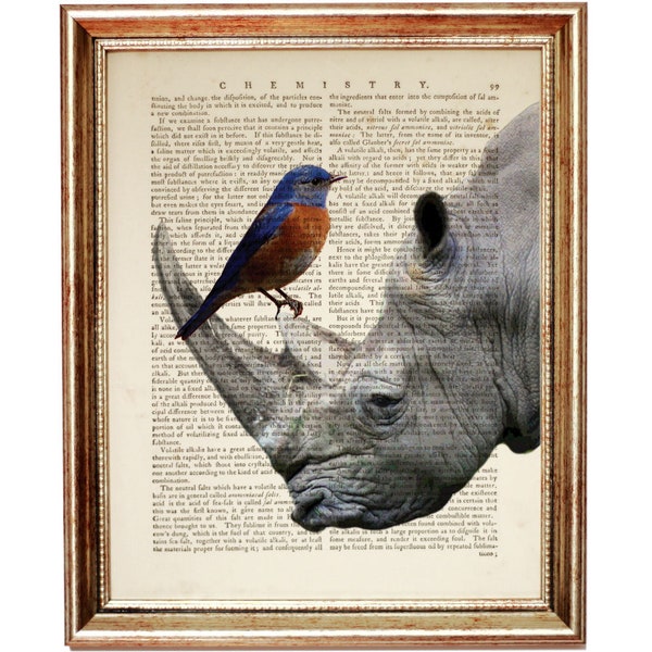 Affiche de rhinocéros, impression d'art de dictionnaire de rhinocéros, impression d'art de rhinocéros avec l'oiseau, décoration murale de rhinocéros, portrait d'animal de safari