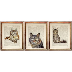 Set of 3 Maine Coon Cat Dictionary Art Prints, Vintage Feline Poster, Maine Coon Wall Art, Cat Lover Home Decor