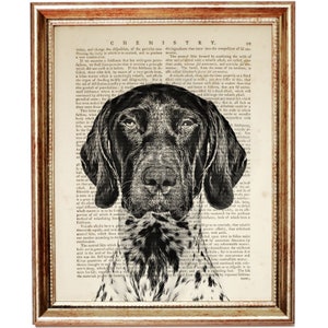 Deutsch Kurzhaariger Pointer Hund Wörterbuch, Kunstdruck, Hunde Kunstwerk, APS Poster Wand Deco, Pointer Print, HundeKinderzimmer Kunst