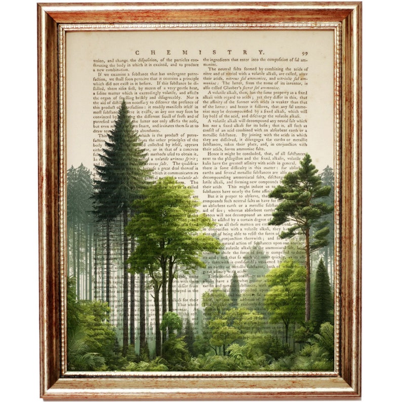 Green Forest Vintage Dictionary Art Print, Forest Scene on Book Page, Unique Forest Wall Art, Nature Poster, Eco Home Decor