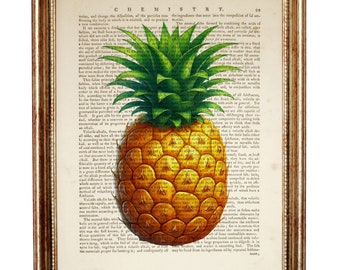 Lámina artística de diccionario de piña, decoración de pared de frutas botánicas, póster de cocina de estilo vintage, regalo tropical de inauguración de la casa para los amantes de la piña.