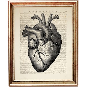 Anatomy Dictionary Art Print, Human Heart Anatomy Art, Heart Artwork, Medicine Wall Hanging, Medical Poster Artwork