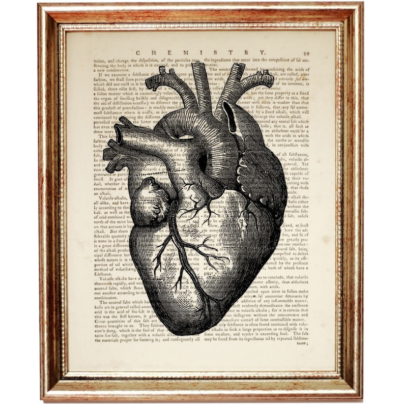 May include: A vintage anatomical illustration of a human heart, printed on a page from an old book. The heart is depicted in detail, with veins and arteries visible. The text surrounding the image is about chemistry.
