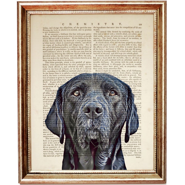 Black Labrador Dictionary Art Print, Labrador Retriever Wall Art, Animal Prints, Pet Portrait Print, Dog Poster, Dog Portrait Artwork