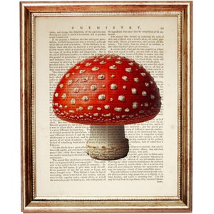 Impresión de arte del diccionario de setas rojas, cartel de setas vintage, ilustración de setas en la página del libro del diccionario