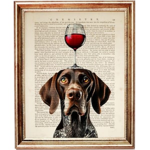 Può includere: Un Bracco Tedesco a Pelo Corto marrone e bianco con un bicchiere di vino rosso in equilibrio sulla testa. Il cane guarda direttamente lo spettatore. L'immagine è su una pagina di libro vintage con testo.
