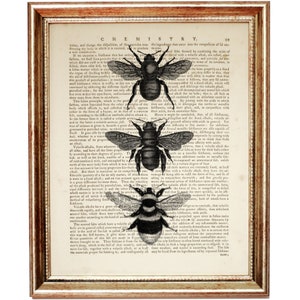 May include: Three black and white illustrations of bees on a vintage page of text from a book about chemistry. The text discusses the properties of volatile alkalis.