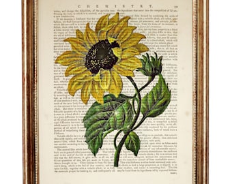 Sunflower Wall Decor, Yellow Flower Wall Art, Plant Wall Art, Green Leaf Art Print, Floral Dictionary Art Print