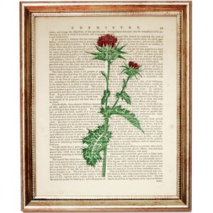 Thistle Flower Art Print, Wildflower Vintage Dictionary Wall Decor, Botanical Artwork, Nature Illustration, Floral Poster
