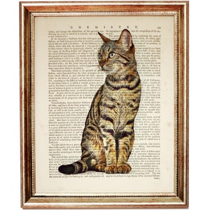 Puede incluir: Una p&aacute;gina de libro vintage con una ilustraci&oacute;n de un gato atigrado marr&oacute;n. La p&aacute;gina presenta texto sobre qu&iacute;mica y las propiedades de varias sustancias. El gato est&aacute; sentado en la p&aacute;gina, mirando hacia la izquierda.