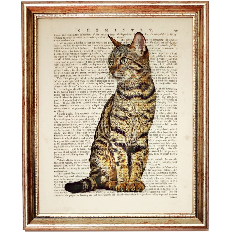 Puede incluir: Una p&aacute;gina de libro vintage con una ilustraci&oacute;n de un gato atigrado marr&oacute;n. La p&aacute;gina presenta texto sobre qu&iacute;mica y las propiedades de varias sustancias. El gato est&aacute; sentado en la p&aacute;gina, mirando hacia la izquierda.