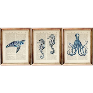 海の生物のプリント3枚セット、タツノオトシゴのポスター、タコの壁飾り、カメのアートワーク、航海辞典のアートプリント、海の生物のアート