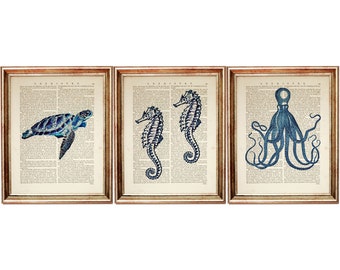Set of 3 Sea Life Print, Seahorse Poster, Octopus Wall Decor, Turtle Artwork, Nautical Dictionary Art Print, Ocean Life Art