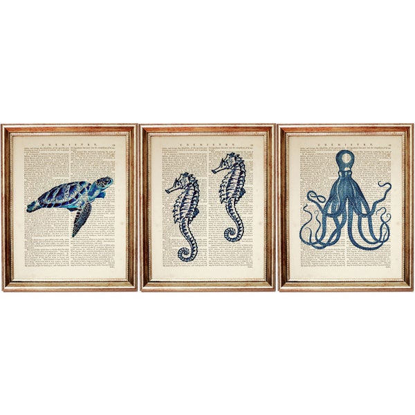 Set of 3 Prints, Sea Life Wall Decor, Octopus Artwork, Sea Horse Print, Turtle Art Print, Ocean Life Dictionary Art Print