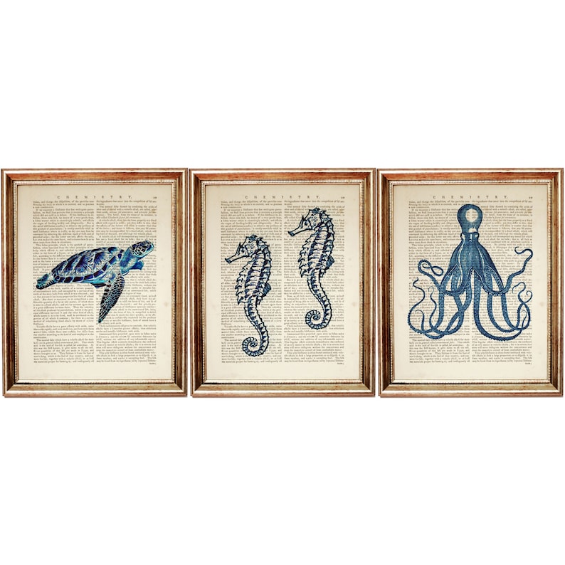 Puede incluir: Conjunto de tres impresiones enmarcadas con ilustraciones vintage de una tortuga marina, dos caballitos de mar y un pulpo. Las ilustraciones son en tonos azules sobre un fondo blanco.