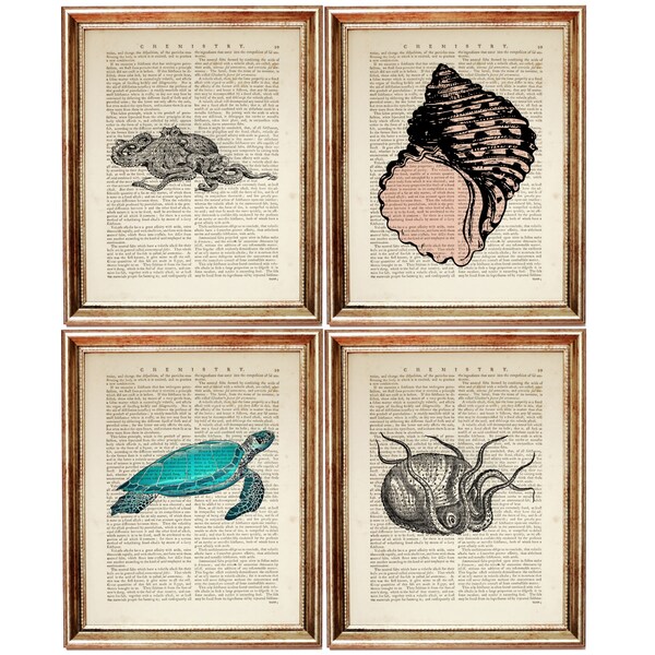 Set of 4 Ocean Life Wall Decor, Nautical Poster, Octopus Dictionary Art Print, Sea Turtle Artwork 8x10, Sea Shell Wall Hanging 5x7, Beach