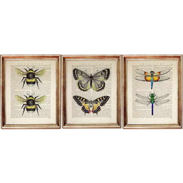 Set of 3 Prints, Bumble Bee Wall Art, Butterfly Art Print, Dragonfly Artwork, Bee Dictionary Art Print, Butterfly Poster