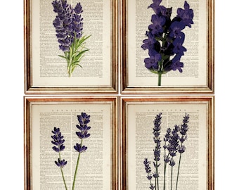 May include: Set of four printable art prints featuring vintage botanical illustrations of lavender flowers on a background of old book pages. The prints are framed in gold.