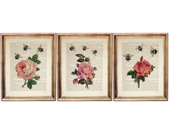 Set of 3 Prints, Pink Rose Wall Art, Rose with Bumblebees Wall Decor, Flower with Bees Dictionary Art Print, Botanical Art