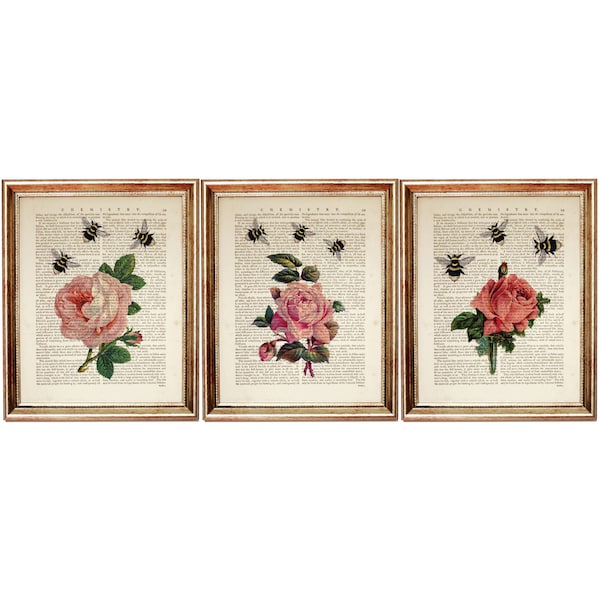 Set of 3 Prints, Pink Rose Wall Art, Rose Wall Art Decor, Flower with Bees Dictionary Art Print, Botanical Wall Hanging