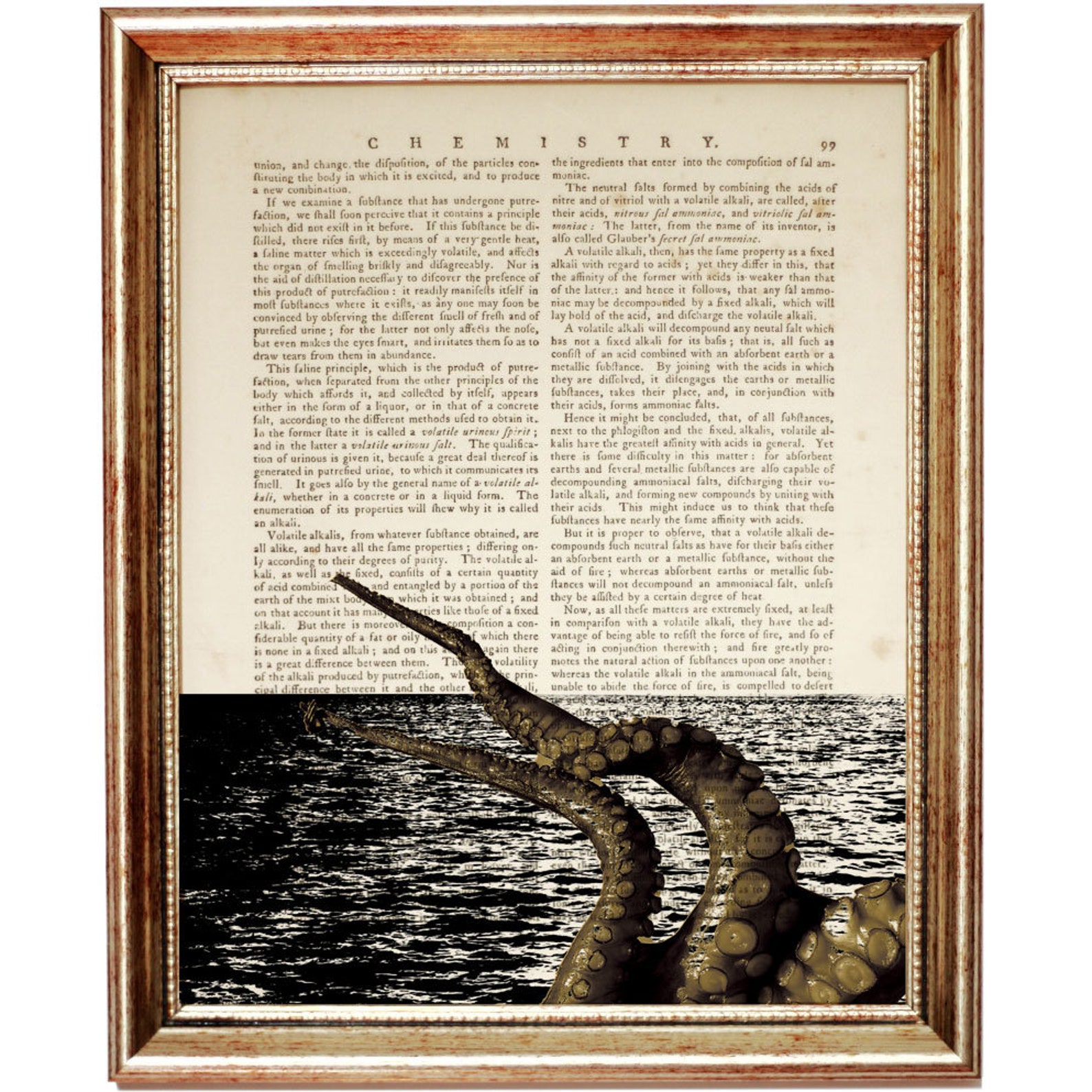 Set of 3 Prints Kraken Dictionary Art Print Octopus With Etsy