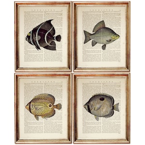 Christmas Gifts, Set of 4 Vintage Fish Art Prints, Nautical Dictionary Wall Art, Sea Life Collection