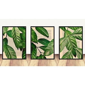 Juego de 3 impresiones, arte de pared con impresiones de hojas, juego de 3 impresiones botánicas, obra de arte con vegetación, juego de pósteres botánicos, juego de impresiones artísticas con hojas