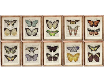 Set of 10 Prints, Butterfly Art Print Set, Vintage Dictionary Book Page Poster, Colorful Insect Wall Decor, Nature Wall Art