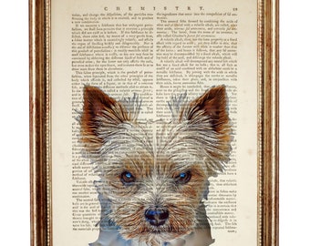 Yorkshire Terrier Dog Art Print, Pet Portrait Vintage Dictionary Book Page, Animal Wall, Art Gift for Dog Lovers