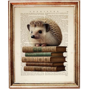 May include: A small hedgehog sits on a stack of vintage books with a brown leather cover. The books are stacked on a white background with text from an old book.