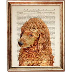 Poodle Dog Art Print, Dog Portrait Vintage Dictionary Book Page Poster, Standard Poodle Wall Decor, Pet Portrait Artwork