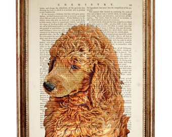 Poodle Poster, Poodle Print, Standard Poodle Dictionary Art Print, Poodle Art, Dog Nursery Print, Pet Portrait 8x10 & 5x7